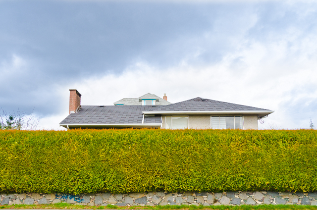 shutterstock_98306117_w